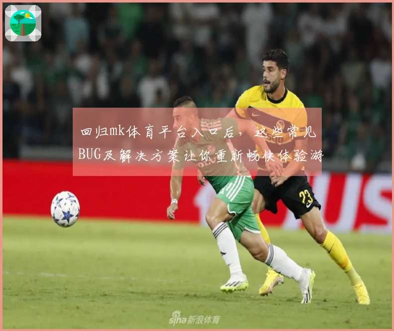 回归mk体育平台入口后，这些常见BUG及解决方案让你重新畅快体验游戏乐趣