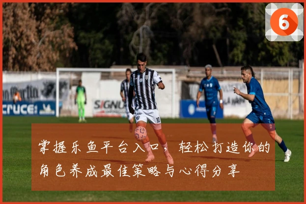 掌握乐鱼平台入口，轻松打造你的角色养成最佳策略与心得分享