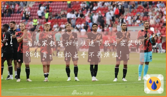 老玩家教你如何快速下载与安装6686体育，轻松上手不再烦恼！